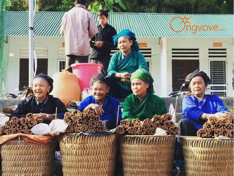 Giới Thiệu Chợ Hoàng Su Phì Hà Giang: Hồn Quê Giữa Núi Rừng