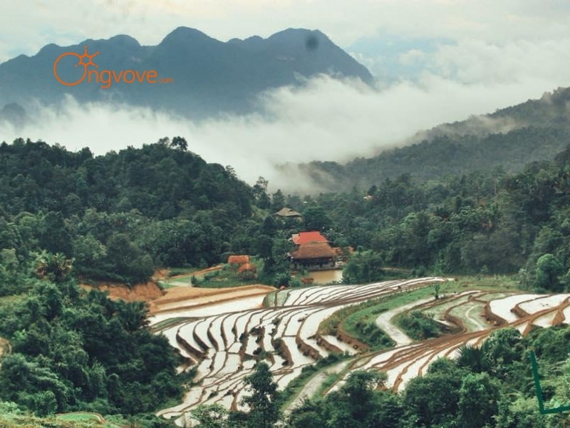 Các Dịch Vụ Lưu Trú Nà Thác Palms Hà Giang