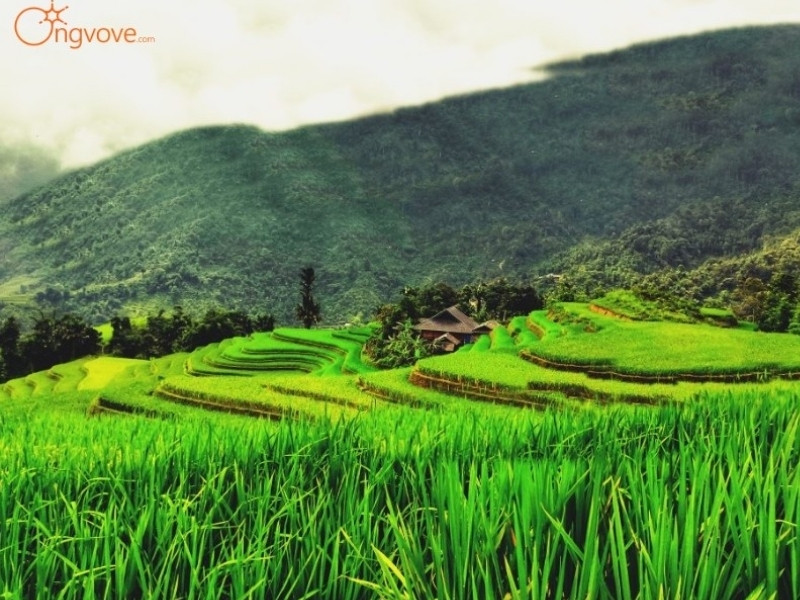 Giới Thiệu Nà Thác Palms Hà Giang