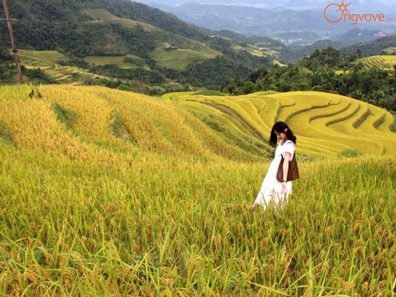 Thời Tiết Nà Thác Palms Hà Giang: Bốn Mùa, Mỗi Mùa Một "Nét Vẽ"