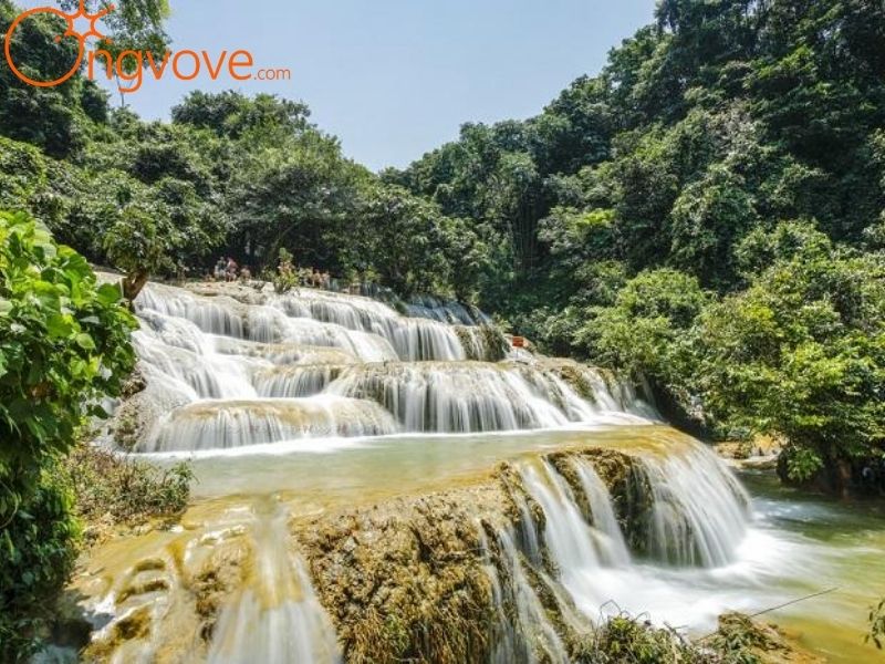 Ong Vò Vẽ chuyên cung cấp chuyến đi đến Thác Mây Phú Thọ
