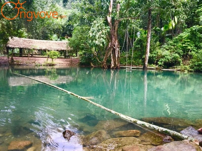 Cảnh Quan Thiên Nhiên Tại Vườn Quốc Gia Xuân Sơn Phú Thọ