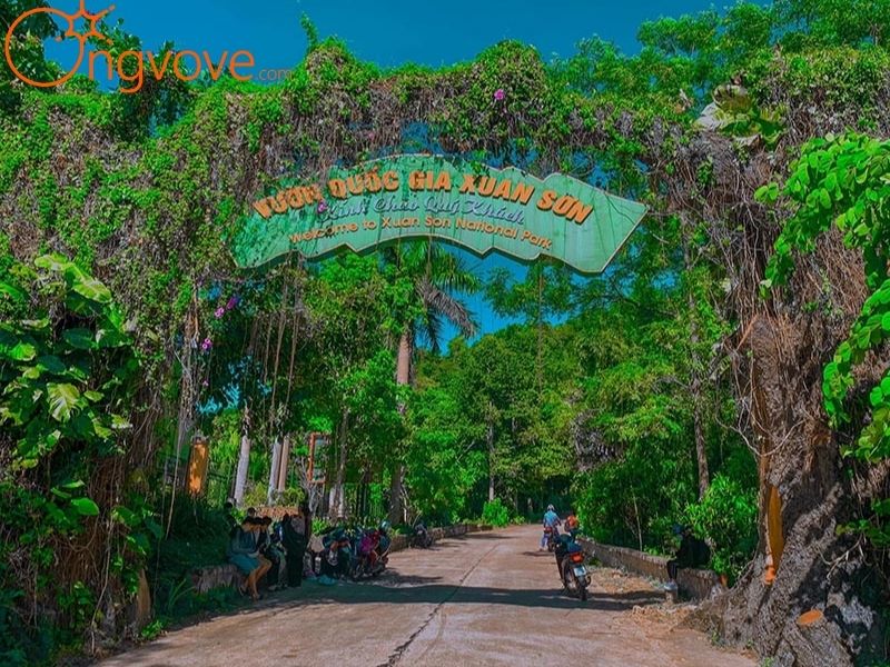 Giới Thiệu Về Vườn Quốc Gia Xuân Sơn Phú Thọ
