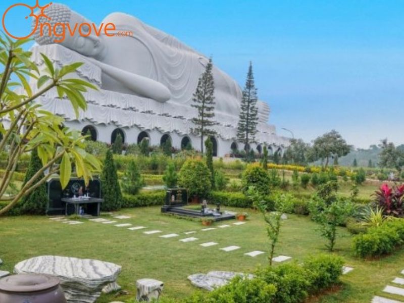 Hoạt Động Tâm Linh và Lễ Hội Tại Công Viên Tưởng Niệm Thiên Đức