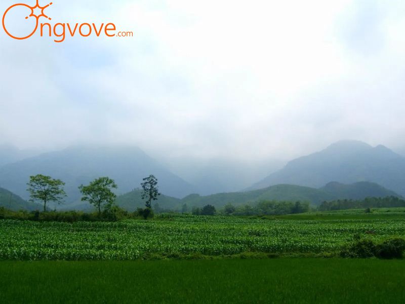 Hướng Dẫn Di Chuyển Đến Núi Thắm Phú Thọ