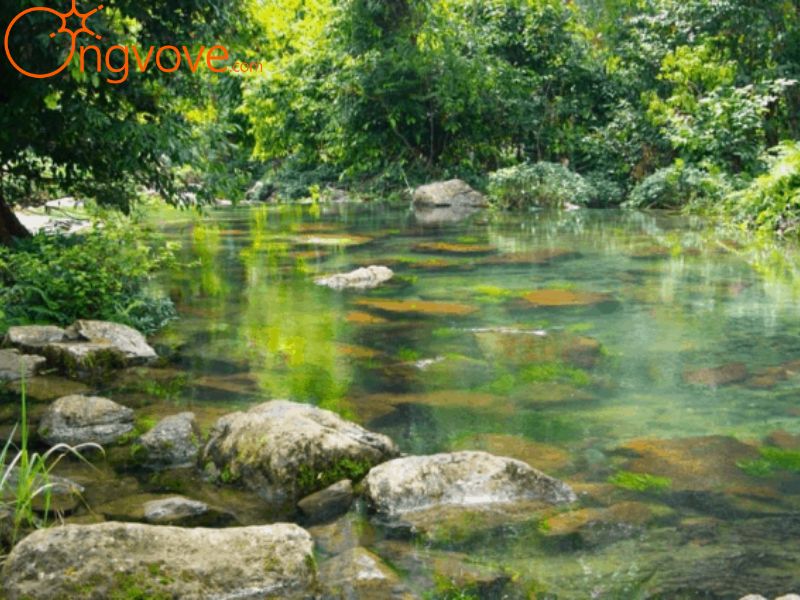 Ong Vò Vẽ chuyên cung cấp chuyến đi đến Vườn quốc gia Xuân Sơn