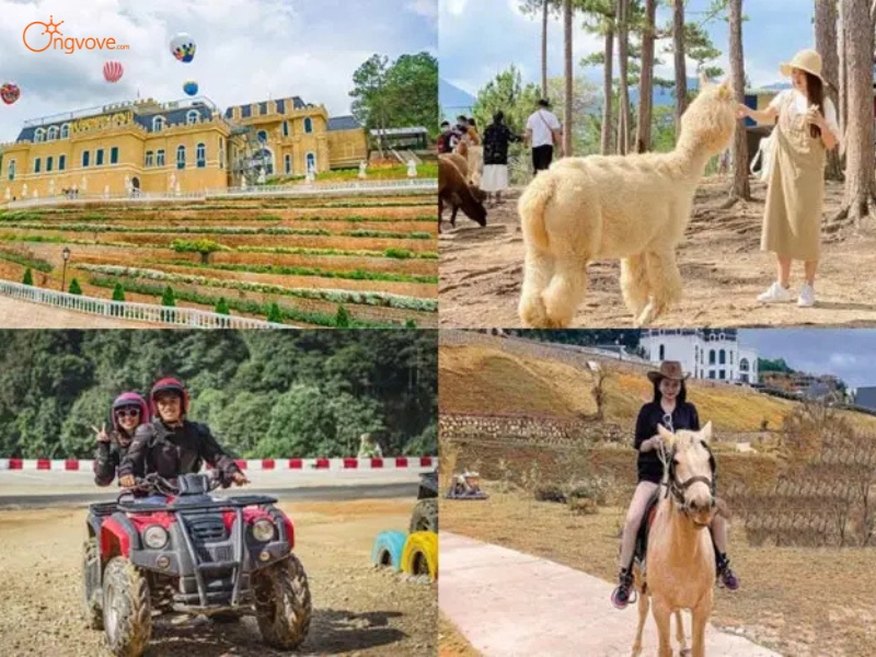 Khu Vui Chơi Đà Lạt Wonderland