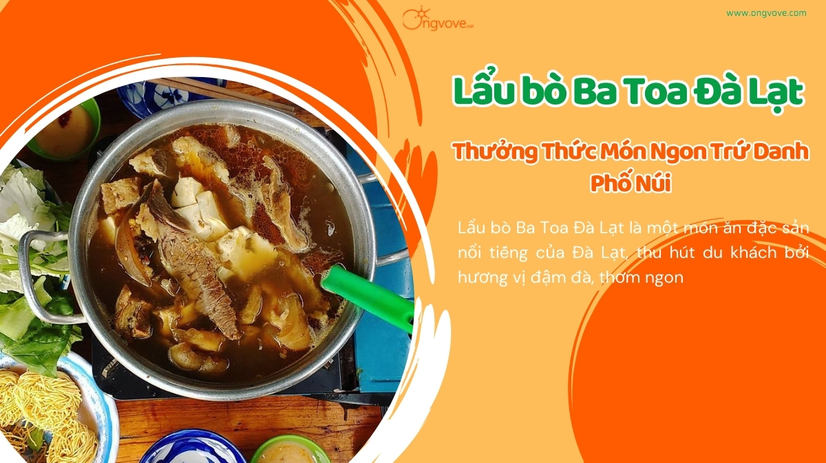 Lẩu Bò Ba Toa Đà Lạt – Thưởng Thức Món Ngon Trứ Danh Phố Núi Cùng Ong Vò Vẽ Travel