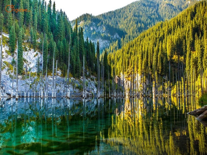 Các Địa Điểm Du Lịch Kazakhstan Không Thể Bỏ Lỡ