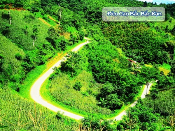 Đèo Cao Bắc Bắc Kạn