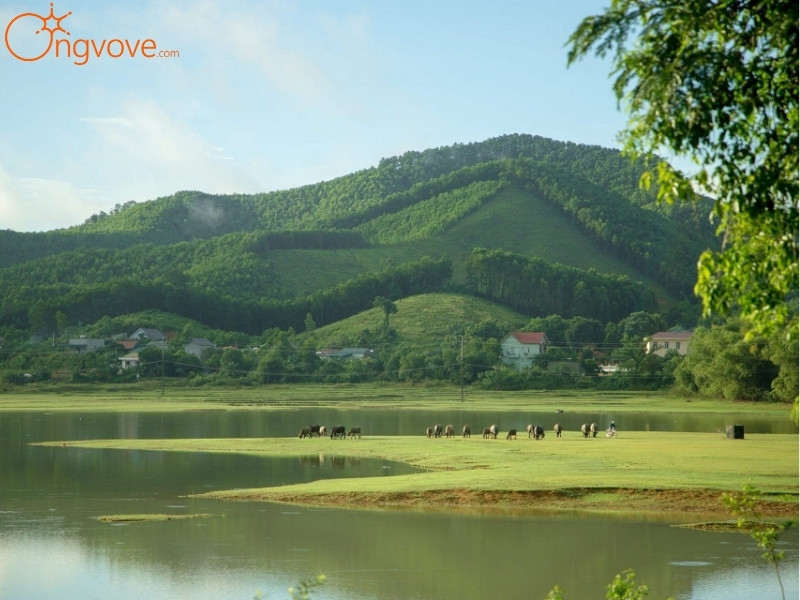 Ong Vò Vẽ Travel Đồng Hành Cùng Bạn Khám Phá Vườn quốc gia Bến En