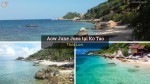 Aow June Juea