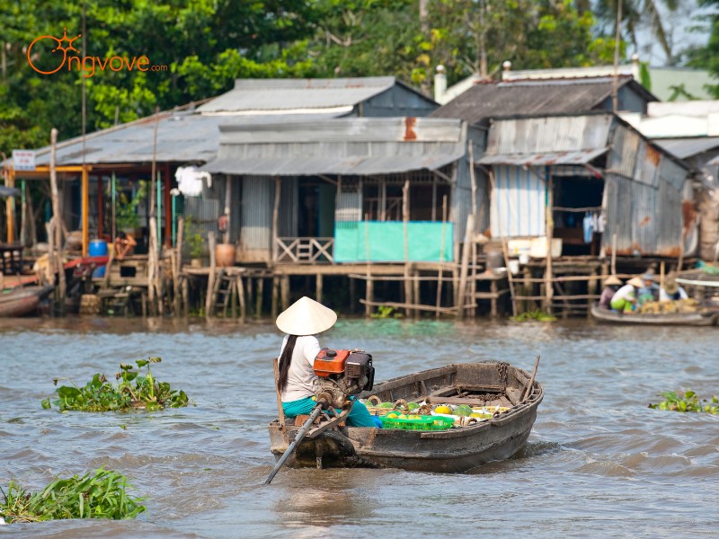 Đi thuyền trên sông