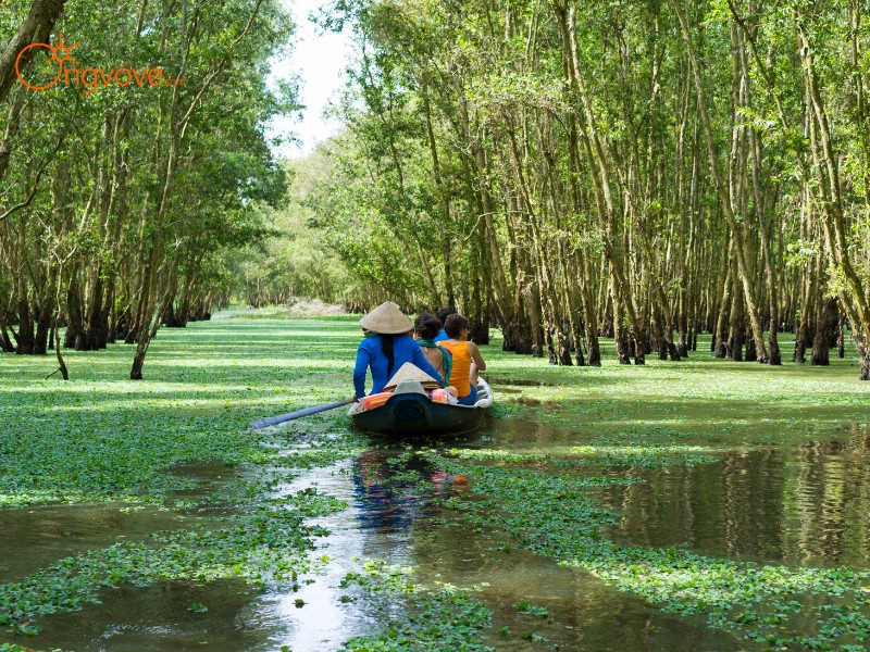 Tour miền tây là gì?