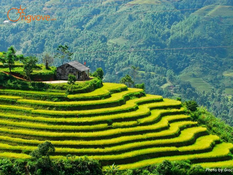 Tour Hà Giang là gì? 