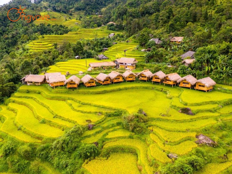 Hoàng Su Phì: Ruộng bậc thang tuyệt đẹp, mùa thu nước đổ ngoạn mục