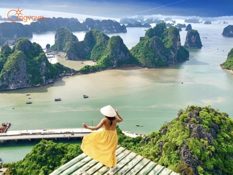 Thời điểm nào phù hợp nhất để đi tour Hạ Long?