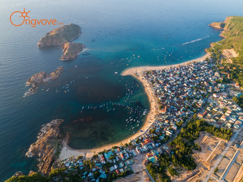 Chia sẻ kinh nghiệm du lịch Quy Nhơn