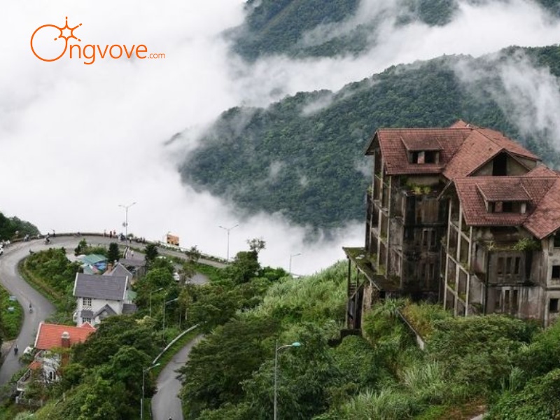 Du lịch Tam Đảo Vĩnh Phúc
