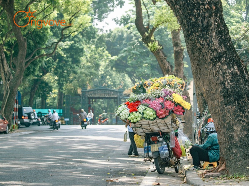 Kinh nghiệm về thời tiết khi ở miền Bắc