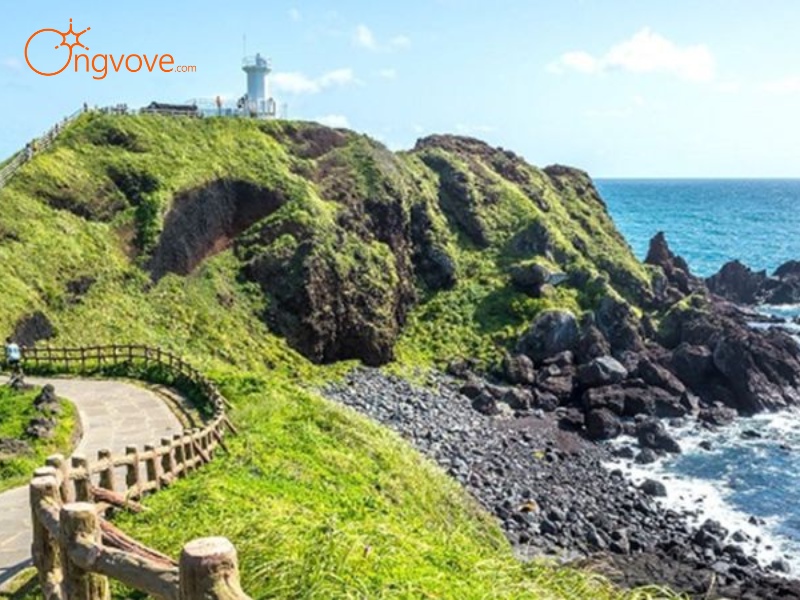 Lịch trình tour Jeju - Gợi ý cho chuyến đi lý tưởng 