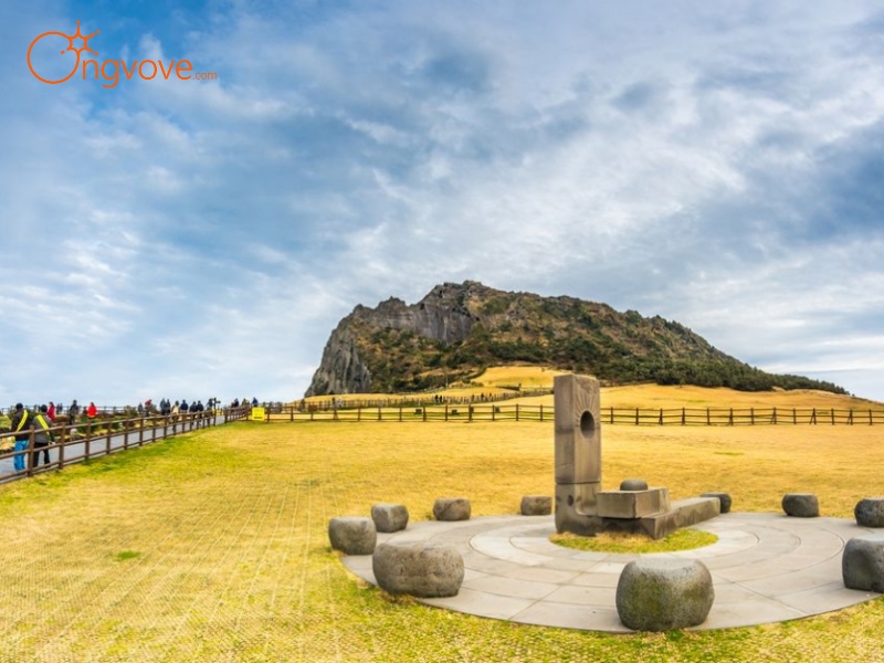 Thời điểm lý tưởng để khám phá tour Jeju 