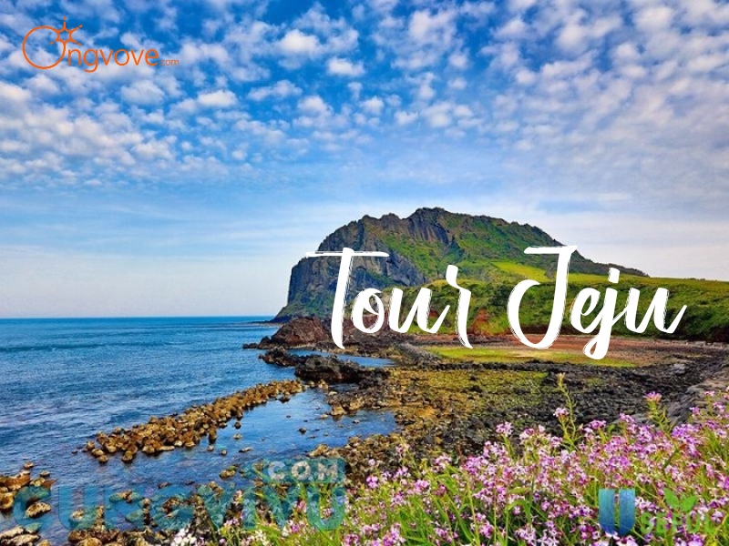 Tour Jeju