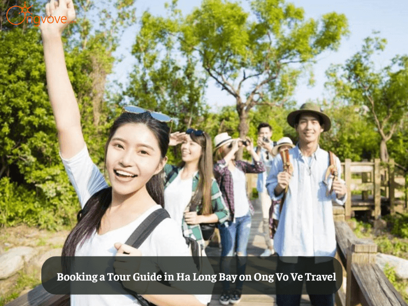 Booking a Tour Guide in Ha Long Bay on Ong Vo Ve Travel