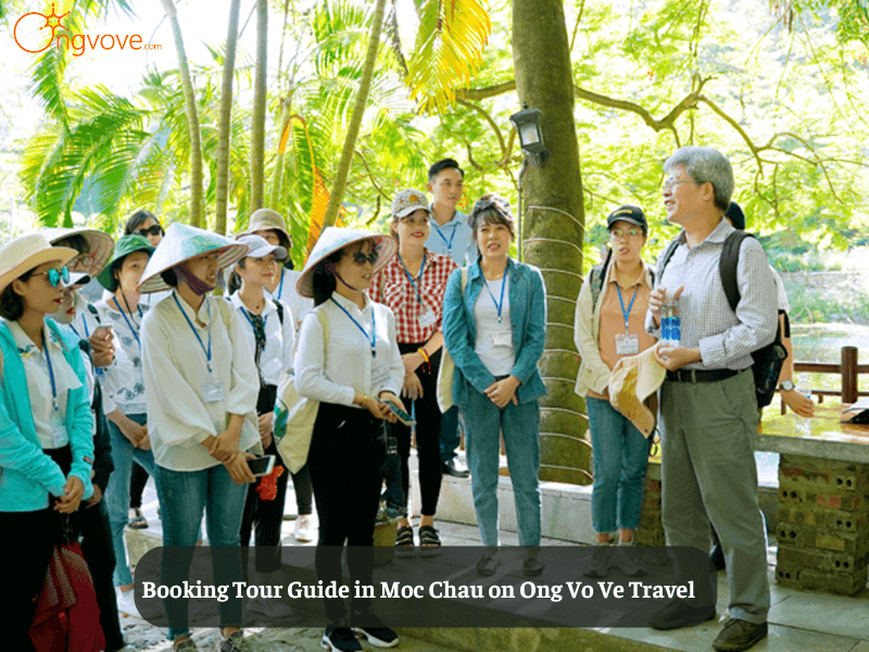 Booking Tour Guide in Moc Chau on Ong Vo Ve Travel