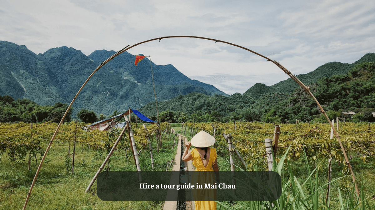 Hire a Tour Guide in Mai Chau: Unveiling the Beauty of Vietnam’s Countryside