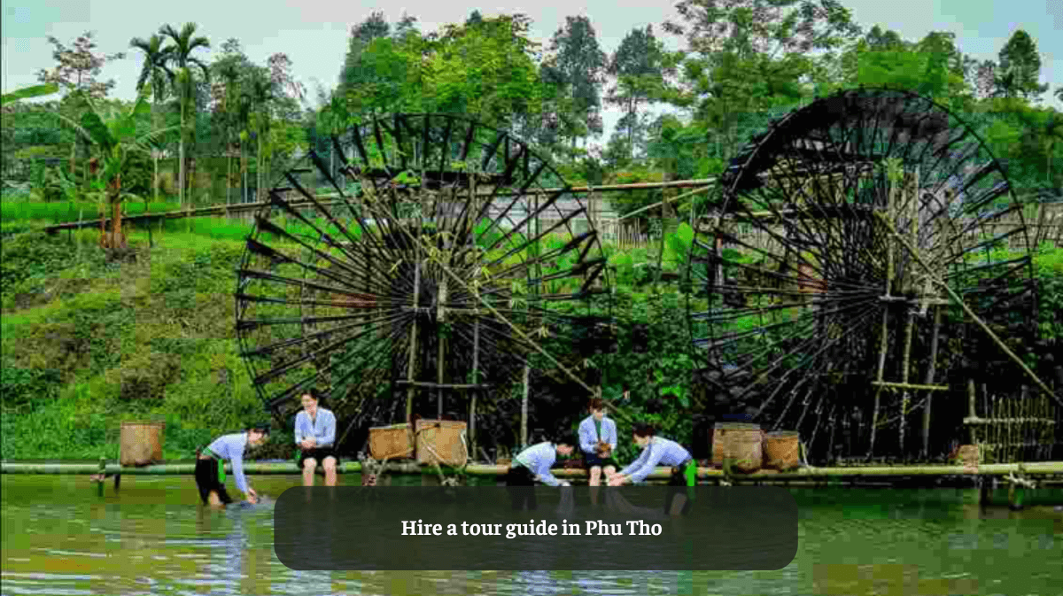 Hire a Tour Guide in Phu Tho: Everything You Need to Know