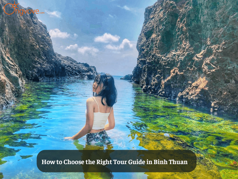 How to Choose the Right Tour Guide in Binh Thuan