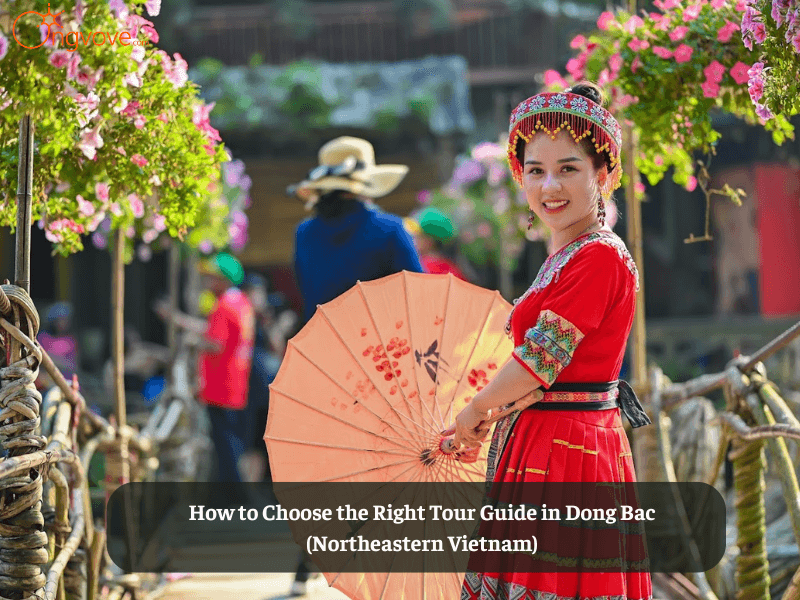 How to Choose the Right Tour Guide in Dong Bac (Northeastern Vietnam)