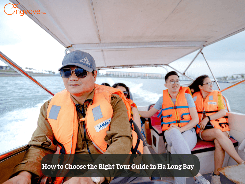 How to Choose the Right Tour Guide in Ha Long Bay