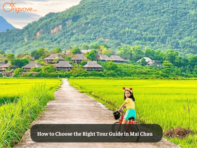 How to Choose the Right Tour Guide in Mai Chau