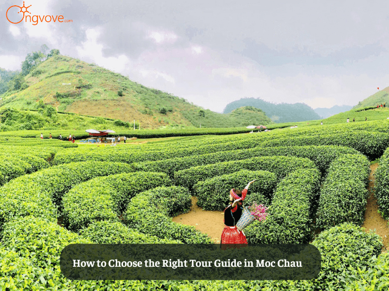 How to Choose the Right Tour Guide in Moc Chau