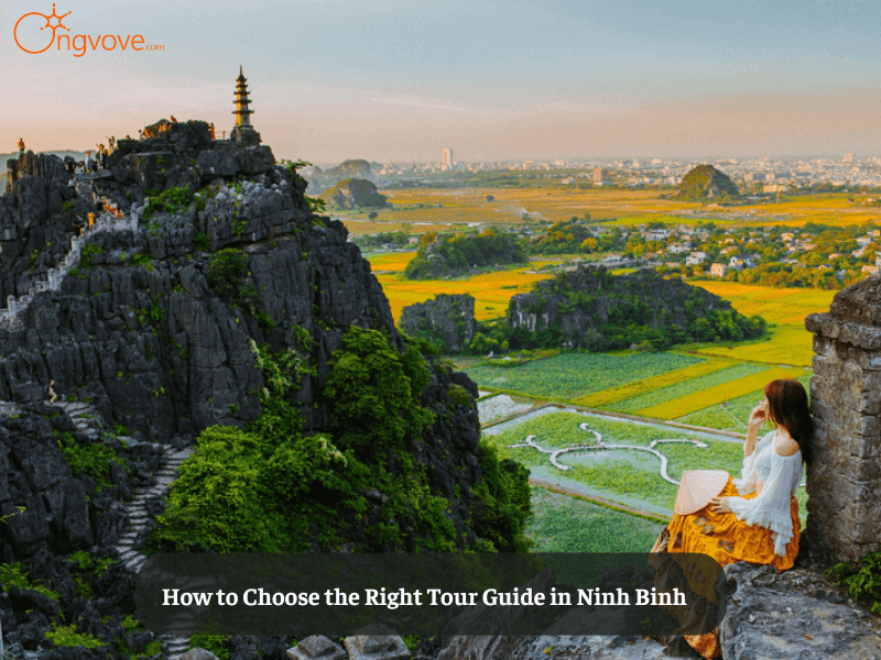 How to Choose the Right Tour Guide in Ninh Binh