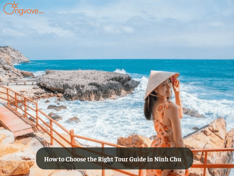 How to Choose the Right Tour Guide in Ninh Chu