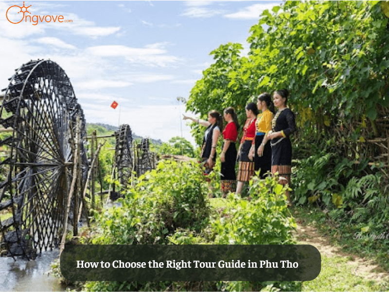 How to Choose the Right Tour Guide in Phu Tho