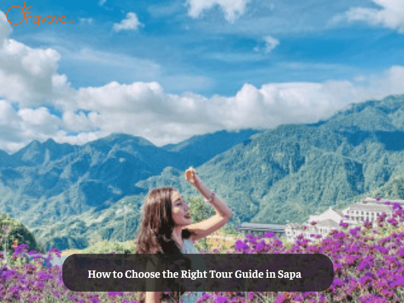 How to Choose the Right Tour Guide in Sapa