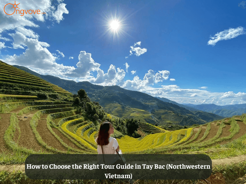 How to Choose the Right Tour Guide in Tay Bac (Northwestern Vietnam)