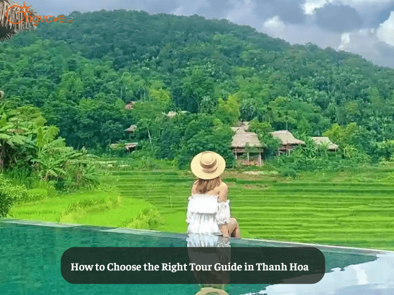 How to Choose the Right Tour Guide in Thanh Hoa