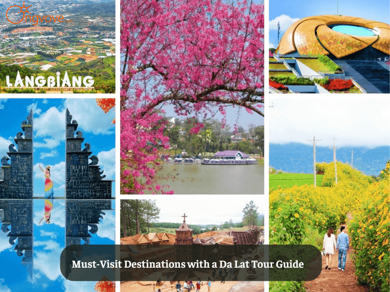 Must-Visit Destinations with a Da Lat Tour Guide