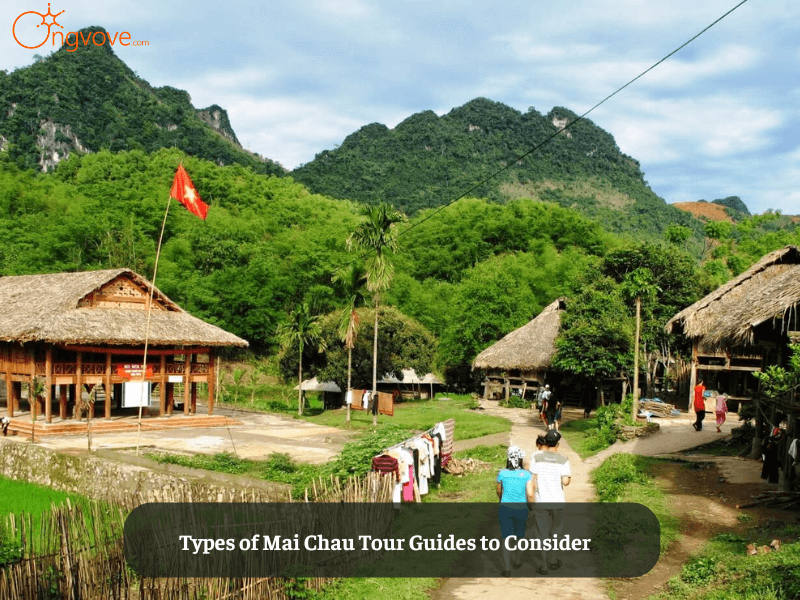 Types of Mai Chau Tour Guides to Consider