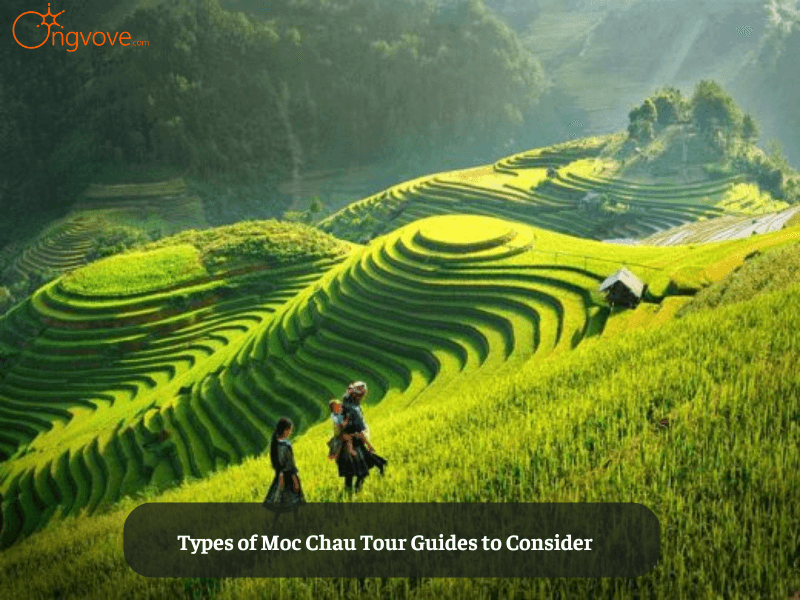 Types of Moc Chau Tour Guides to Consider