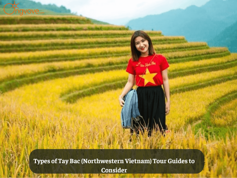 Types of Tay Bac (Northwestern Vietnam) Tour Guides to Consider