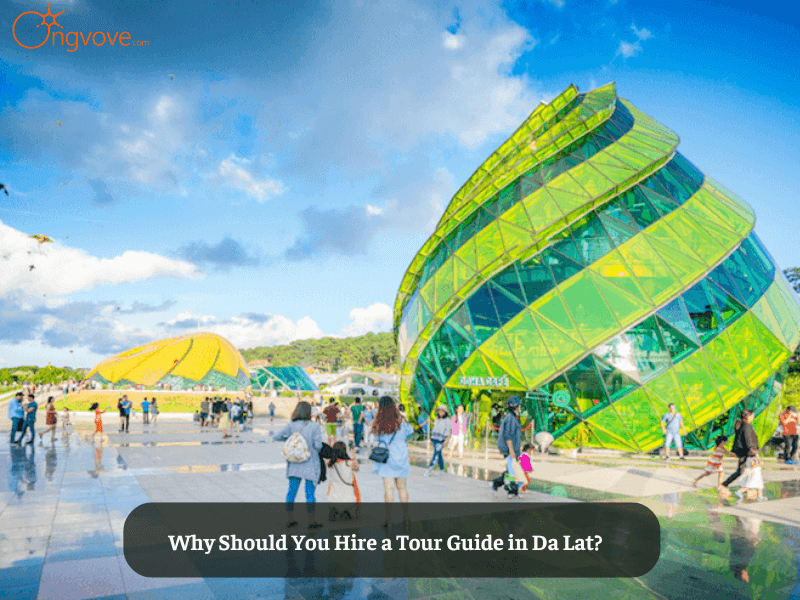 Why Should You Hire a Tour Guide in Da Lat?