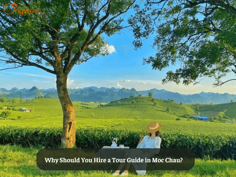 Why Should You Hire a Tour Guide in Moc Chau?