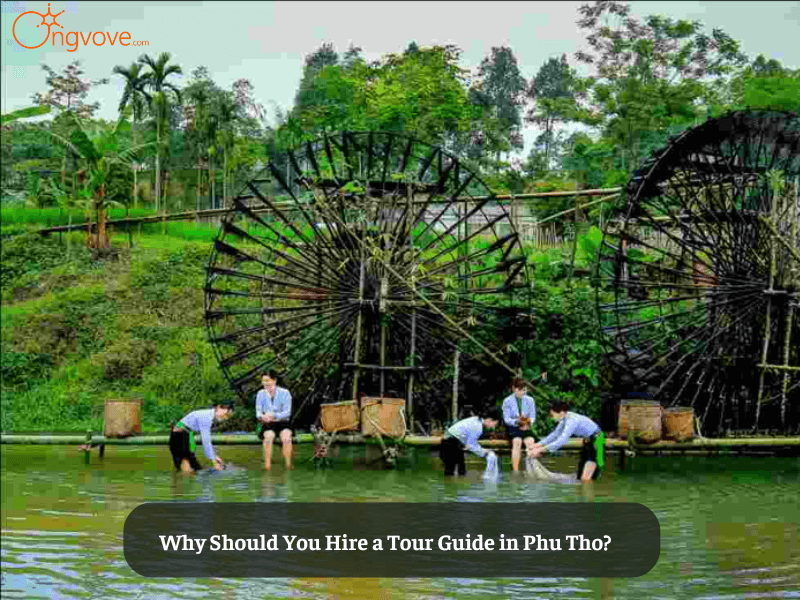 Why Should You Hire a Tour Guide in Phu Tho?