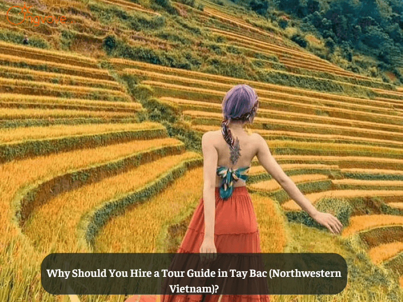 Why Should You Hire a Tour Guide in Tay Bac (Northwestern Vietnam)?